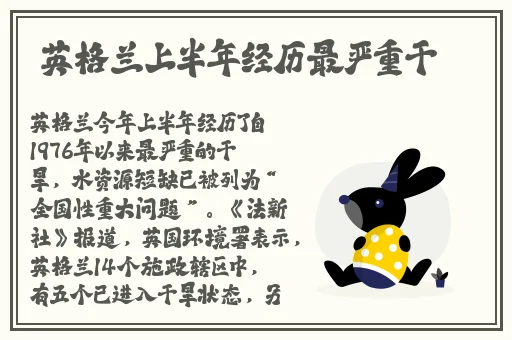 幼儿罗智莹小视频